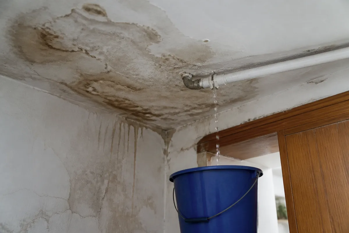 Damp stain and a bucket catching a domestic ceiling leak
