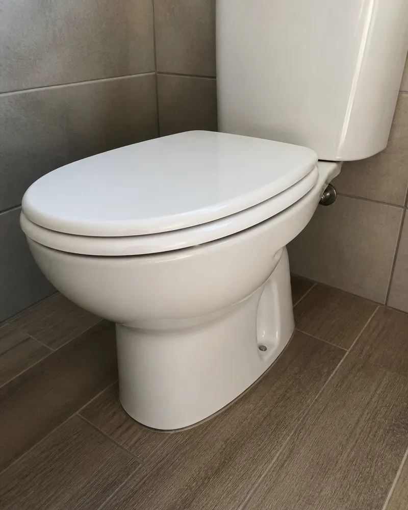 A loose pan in Guardamar